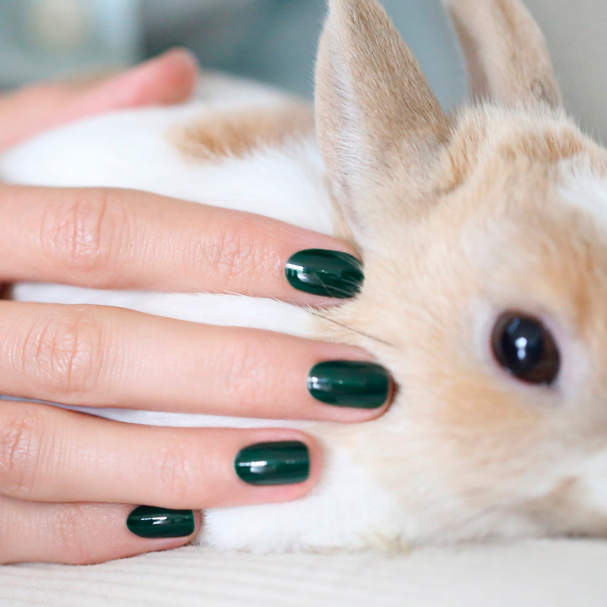 Green Flash Polish