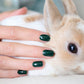 Green Flash Polish