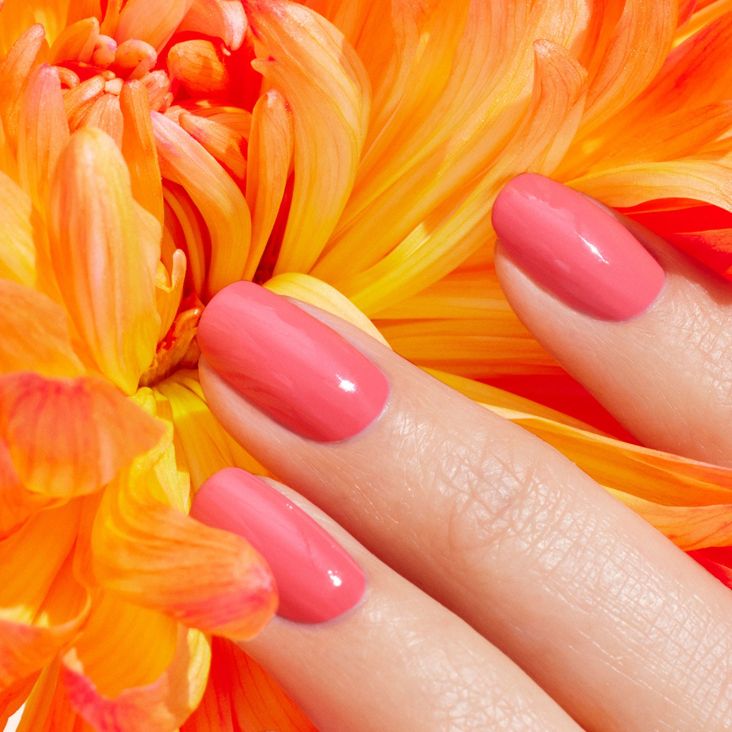 Green Flash Polish