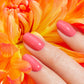 Green Flash Polish