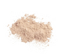 Sunforgettable® Total Protection® Brush-On Shield SPF 50