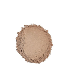 Sunforgettable® Total Protection® Brush-On Shield SPF 50