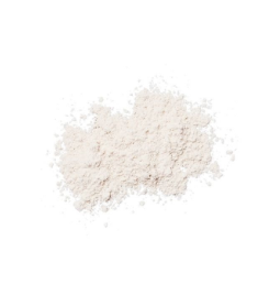 Sunforgettable® Total Protection® Brush-On Shield SPF 50