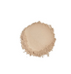 Sunforgettable® Total Protection® Brush-On Shield SPF 50
